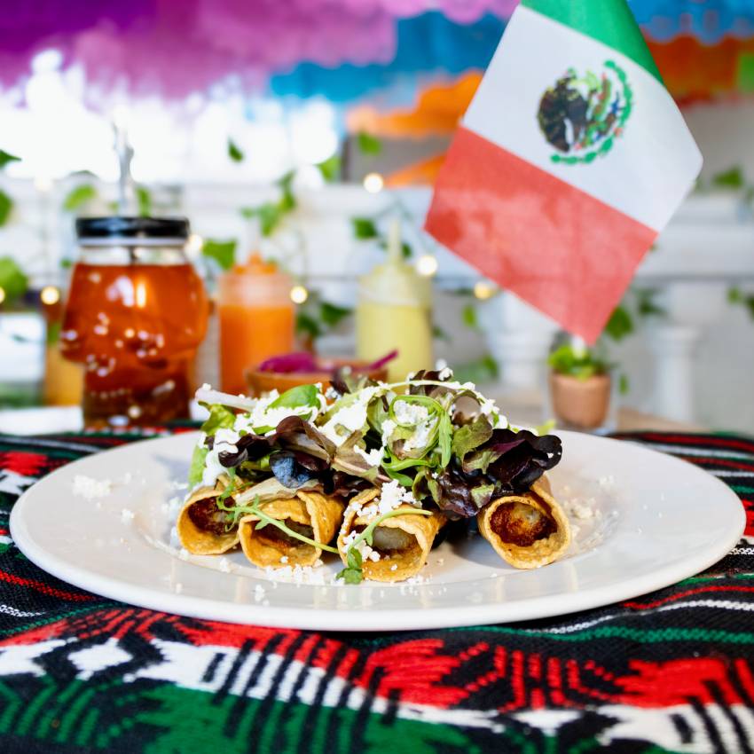 Tacos Dorados - Nuevo Rio Burgos